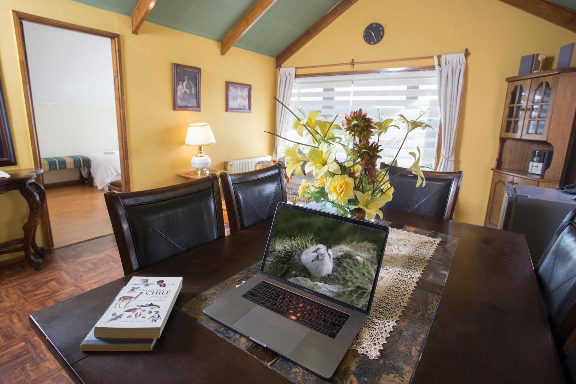 Hostal Cordillera Punta Arenas Zewnętrze zdjęcie